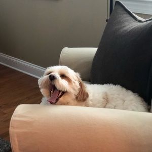 Meet your Posher, Emma